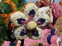Цветочный парад